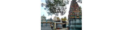 நங்கநல்லூர்